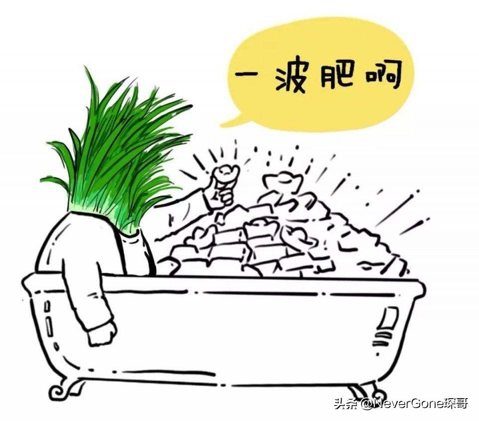 工装靴品牌性价比高的,工装靴品牌排行榜前十名