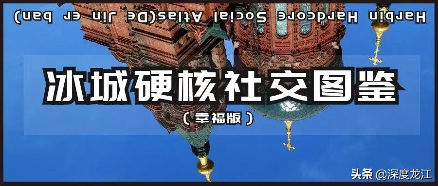冰城硬核社交图,冰城硬核社交图解