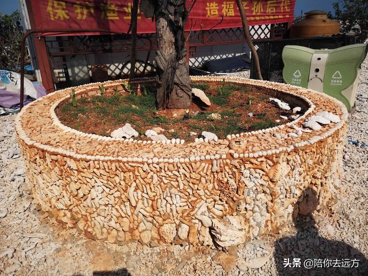 南海西沙岛礁全图,南海西沙群岛海域