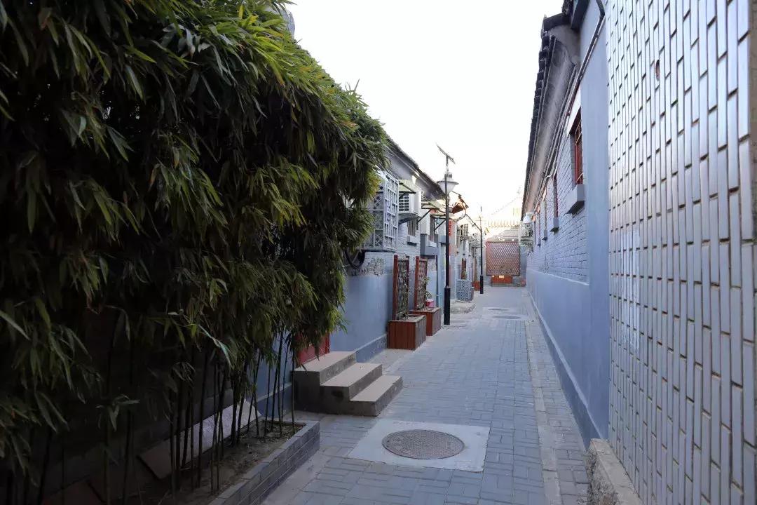 2019北京最美街巷,西城最美街巷