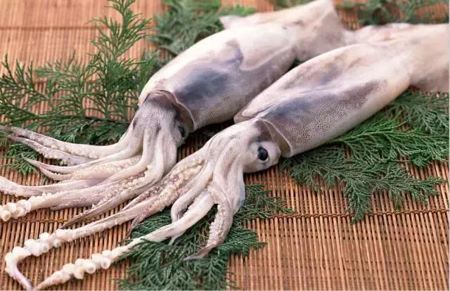 宁波一渔民整理海鲜大全,宁波最全的海鲜