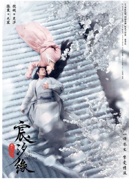 忘羡cp肖战,忘羡cp电视剧