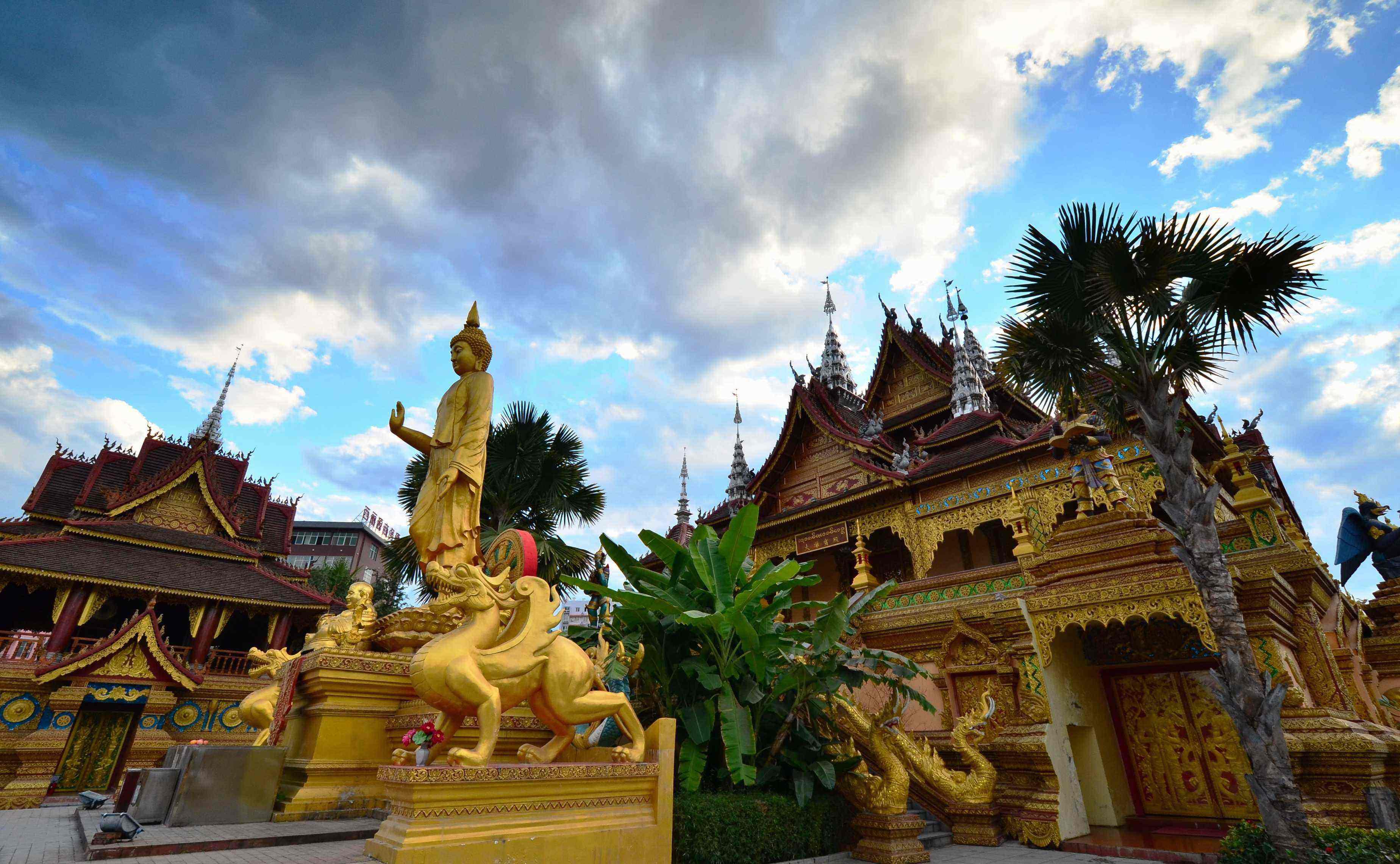 七彩云南雨林探险,游七彩云南西双版纳掠影之一
