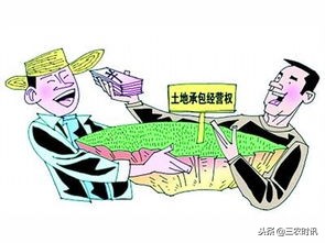 土地流转增加农民收入,土地流转带动农民致富