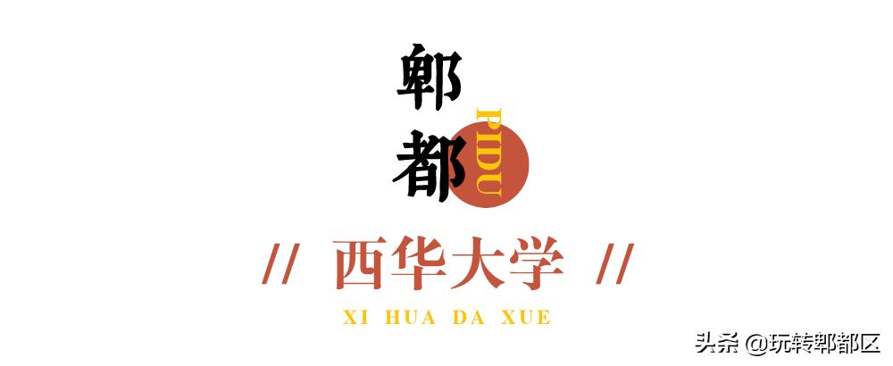 郫都区十大银杏打卡地,郫都区看银杏最好的地方