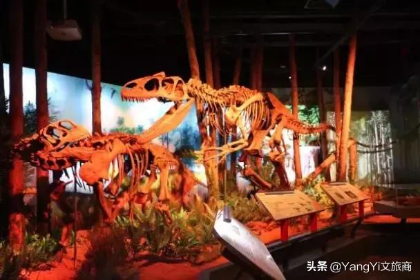 最新购物中心业态,购物中心与众不同