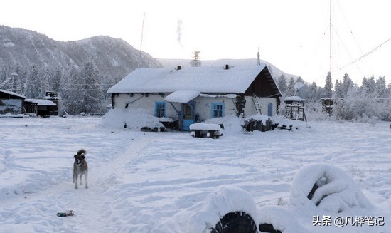你知道世界上最冷的地方在哪里嘛,世界最冷的地方纪录片