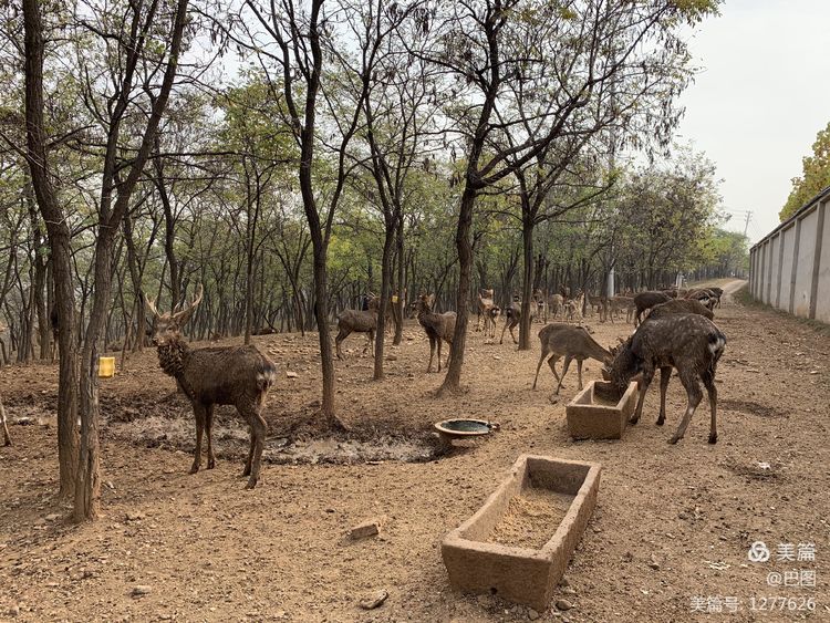 洛阳市宜阳凤凰岭射箭,宜阳县凤凰岭体育基地