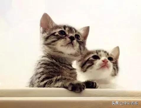 绂忓埄閫佺エ,绂忓埄璧犵エ娲诲姩