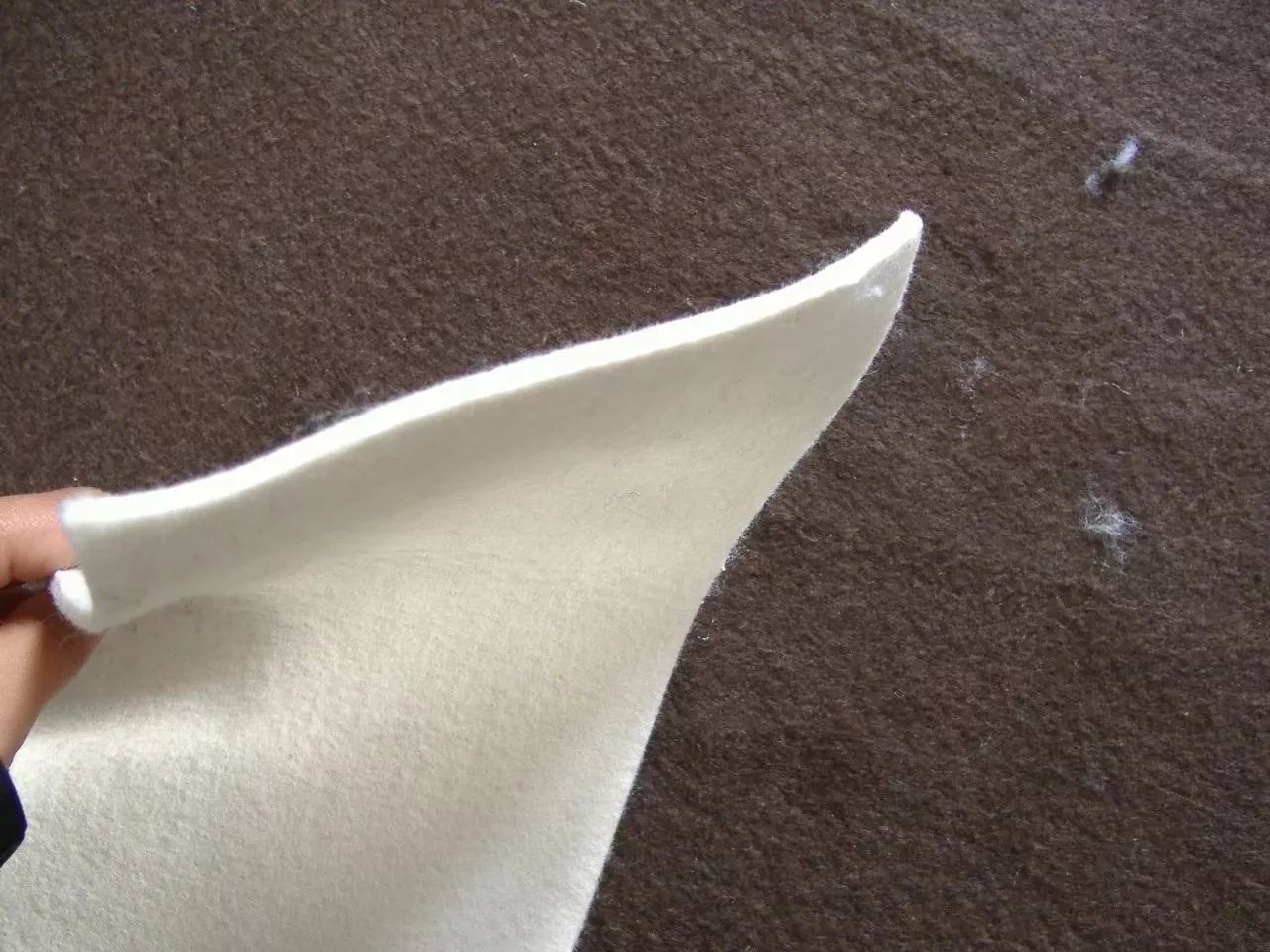 澧ㄥ簞瀹氬埗缇婃瘺澶ц。,澧ㄥ簞鐨崏澶ц。