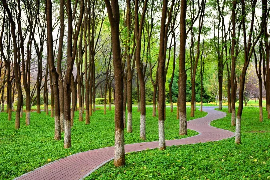 望京体育公园好去处,适合游玩健身的好去处