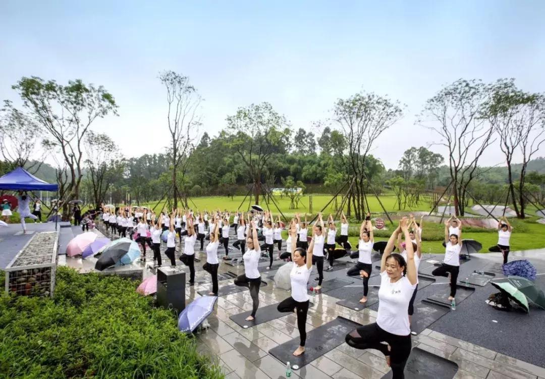 庆祝新中国成立70周年新闻报道,庆祝新中国成立70周年特辑宣讲
