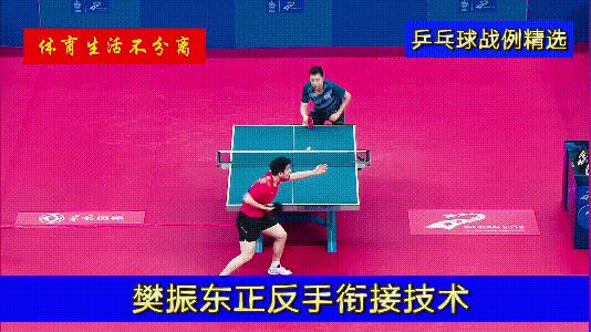 樊振东改变打法,樊振东战术体系分析