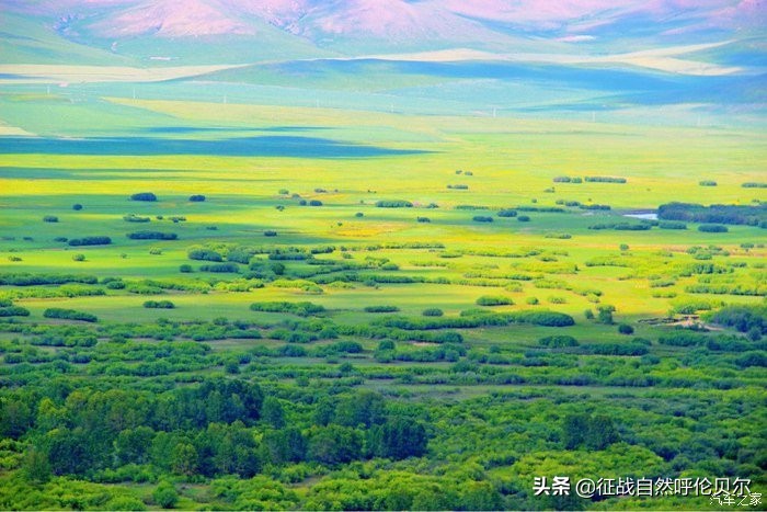 我来到你的城市走过你熟悉的街,我来到你的城市走过你走的路