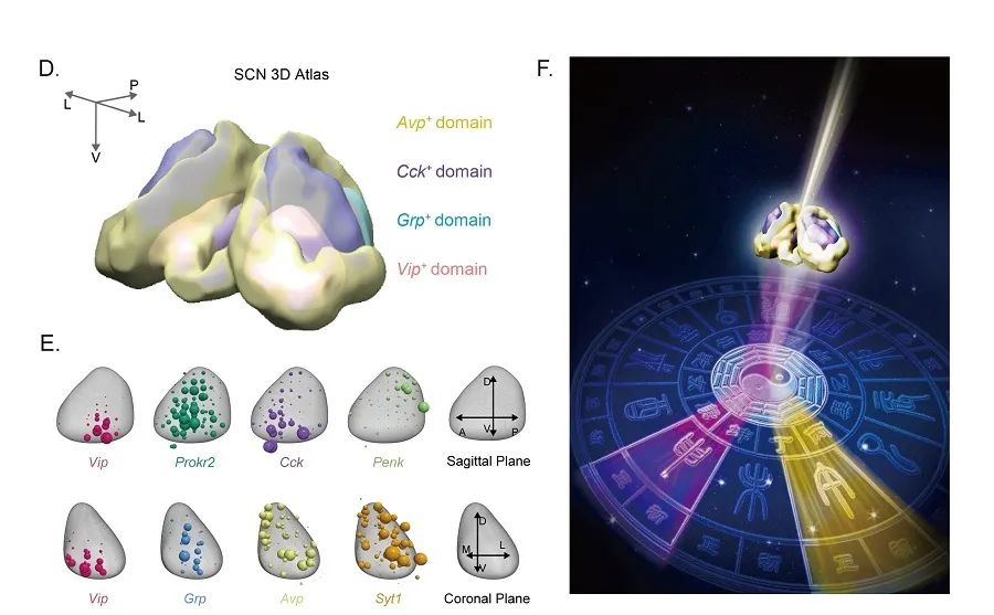 中科院神经所好不好,中科院神经所复试