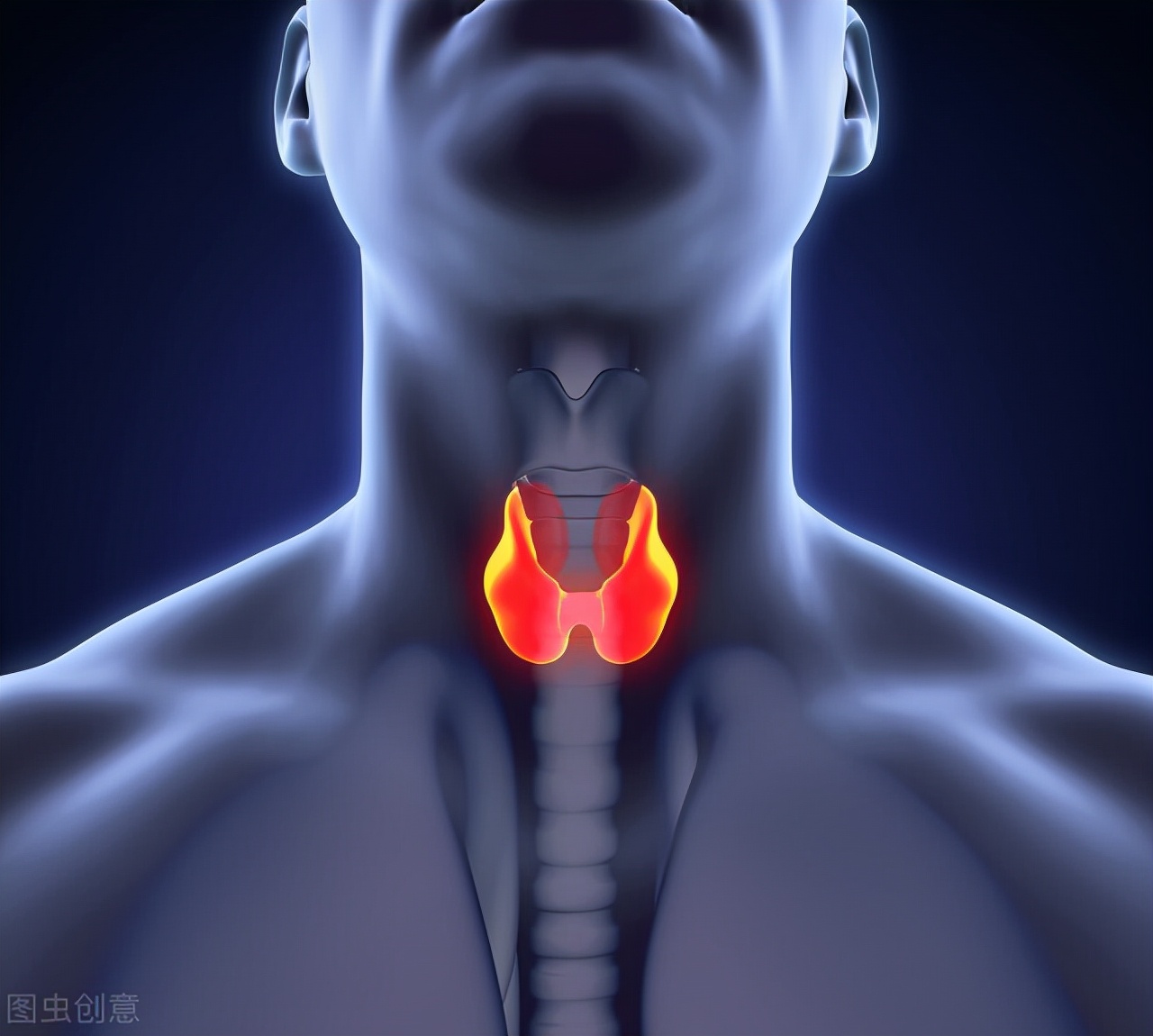 答患者问：脾虚内热？桥本甲状腺炎？吃完饭胃就难受？都有办法