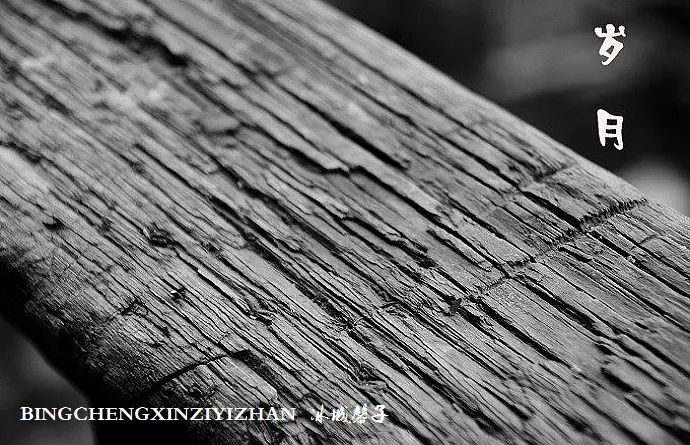 哈尔滨老街的回忆,回到百年前的老街