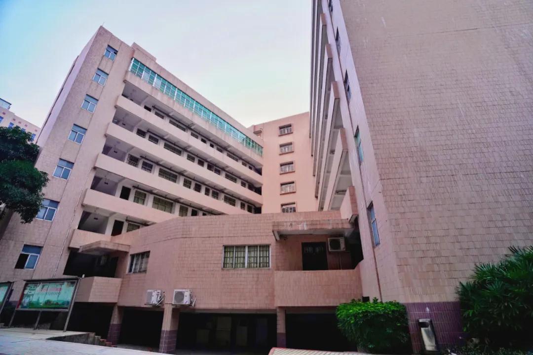 广州大学城占地最大的学校,广州大学城中山大学有多大