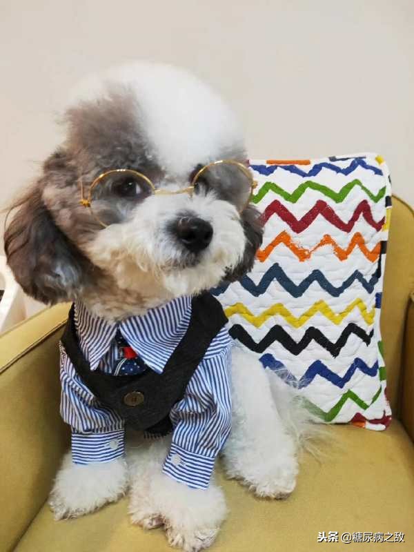 适合糖尿病人旅行的食物,适合糖尿病患者的旅行