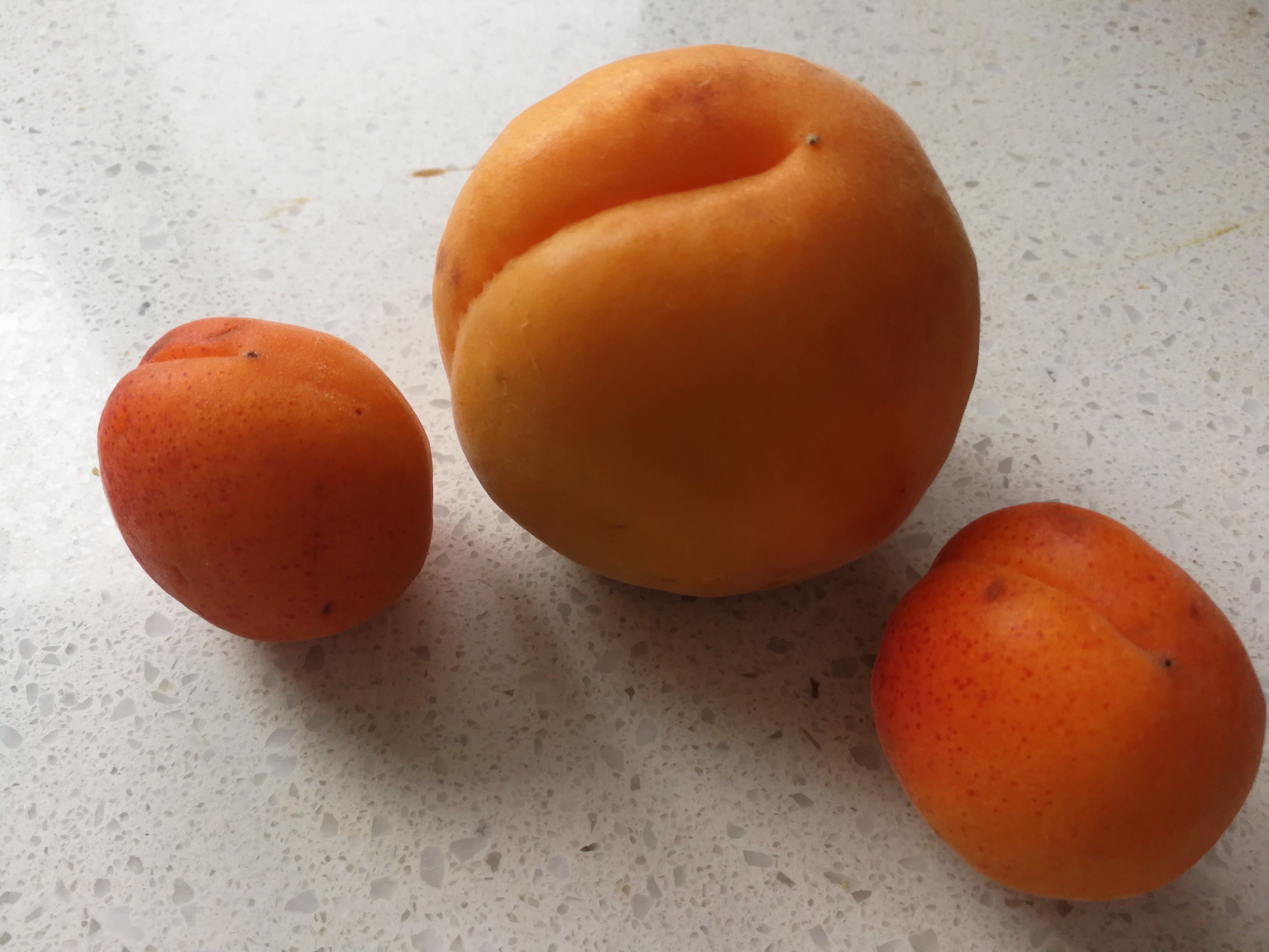 吃杏肉减肥吗,杏吃了可以减肥吗