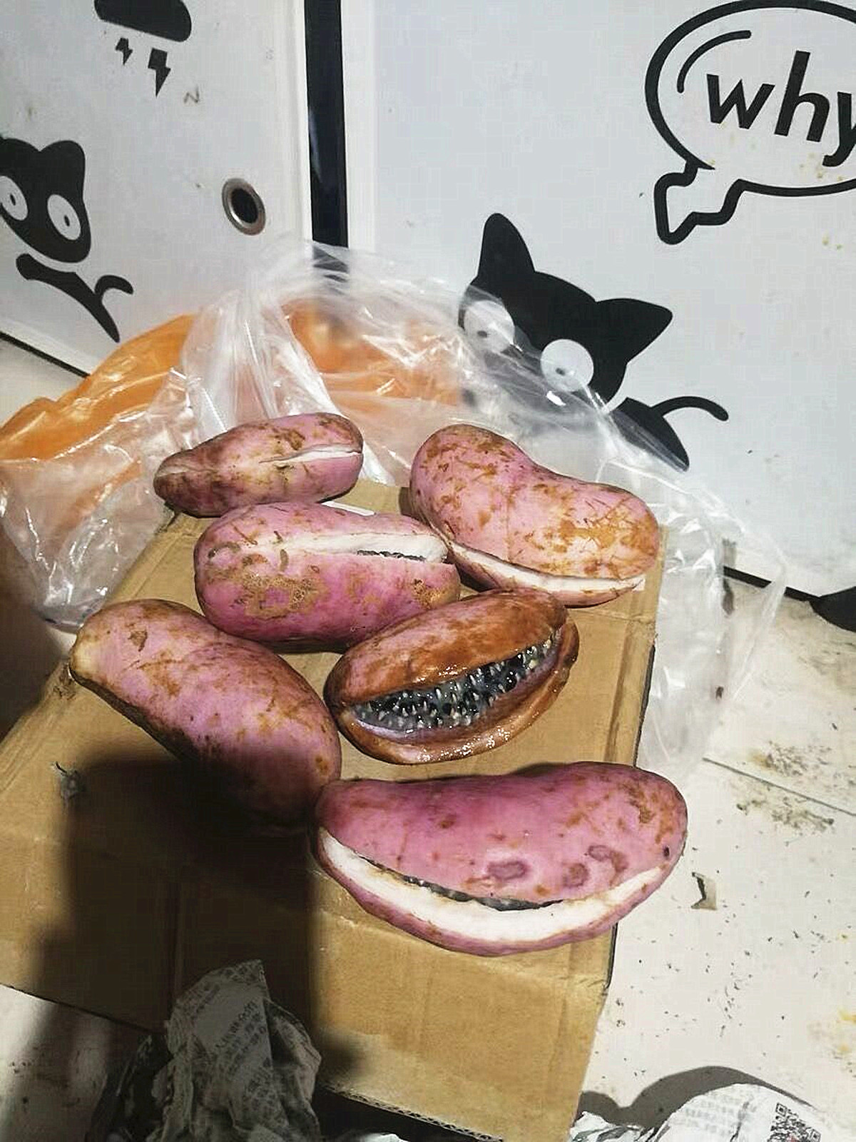 成熟之后会裂开的水果,果实成熟会爆开的水果