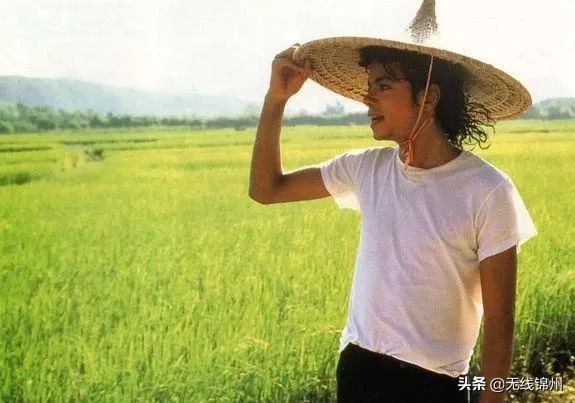 迈克尔杰克逊死11周年纪念日,纪念迈克尔杰克逊死14周年