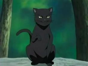 十大名猫动漫,动漫排行榜前十名京剧猫