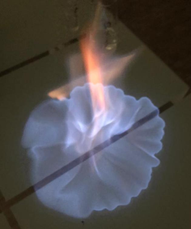 西凤酒55度高脖绿瓶测评,绵柔凤香型绿脖西凤酒45度品鉴