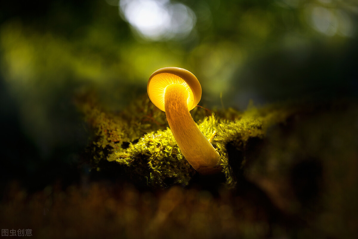 一句顶一万句服装文案,适合自己的才是最好的品牌文案