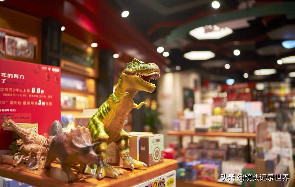 摄影的魅力作文,摄影的魅力图片