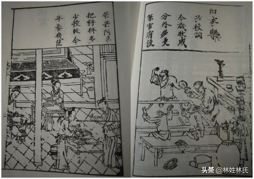 乌门楼│桐坑林氏始居地探源