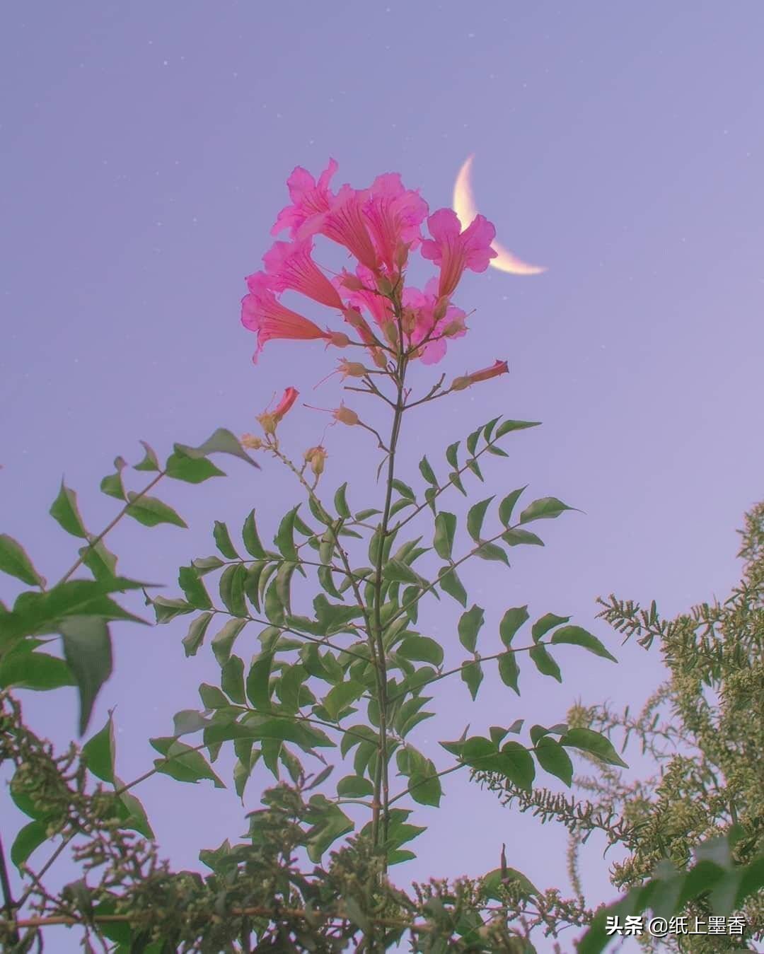 以后漫长的时光，你走了，我该怎么办？