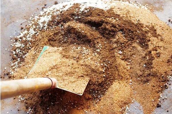 鑺辨埧濮戝澶氳倝閰嶅湡,鑺辨埧濮戝鐜夐湶澶氳倝