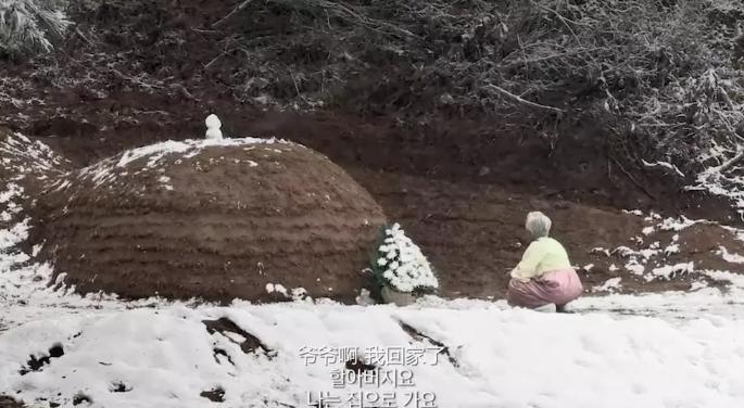 韩国最感人的爱情影片,感人催泪片段韩国纪录片