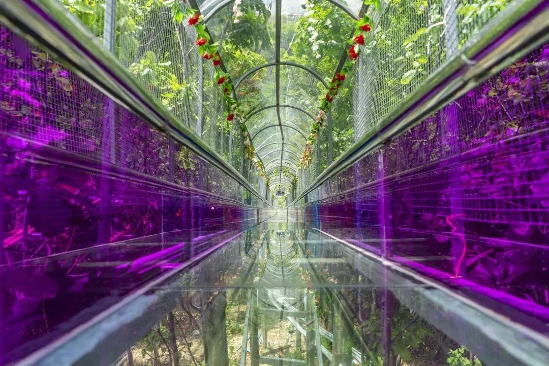 大连棠梨乐游谷免费项目,大连棠梨沟乐游谷攻略