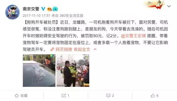 开车撞宠物狗保险赔吗,开车撞到狗没报警保险赔吗