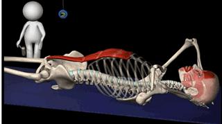为什么练腹肌的时候腰会痛,练腹肌时腰部酸痛还应该继续吗