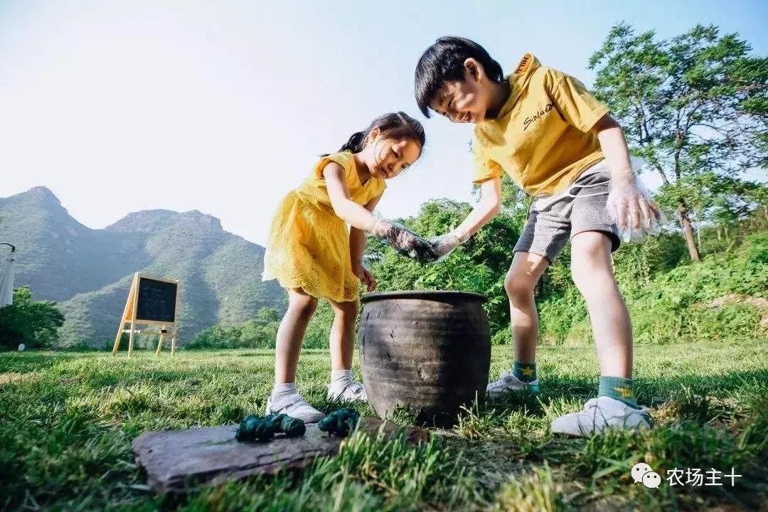 200亩，游客年超30万，这个用枯树建成的农庄牛在哪？