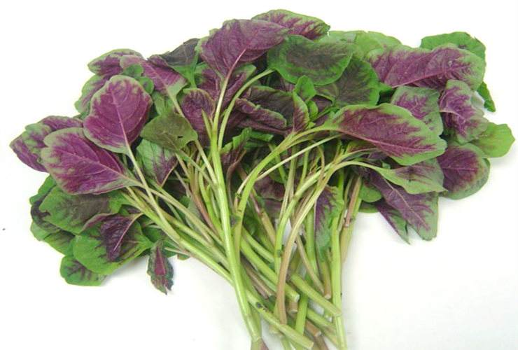 小孩长高吃钙片好还是喝牛奶好,孩子长高钙片有效吗