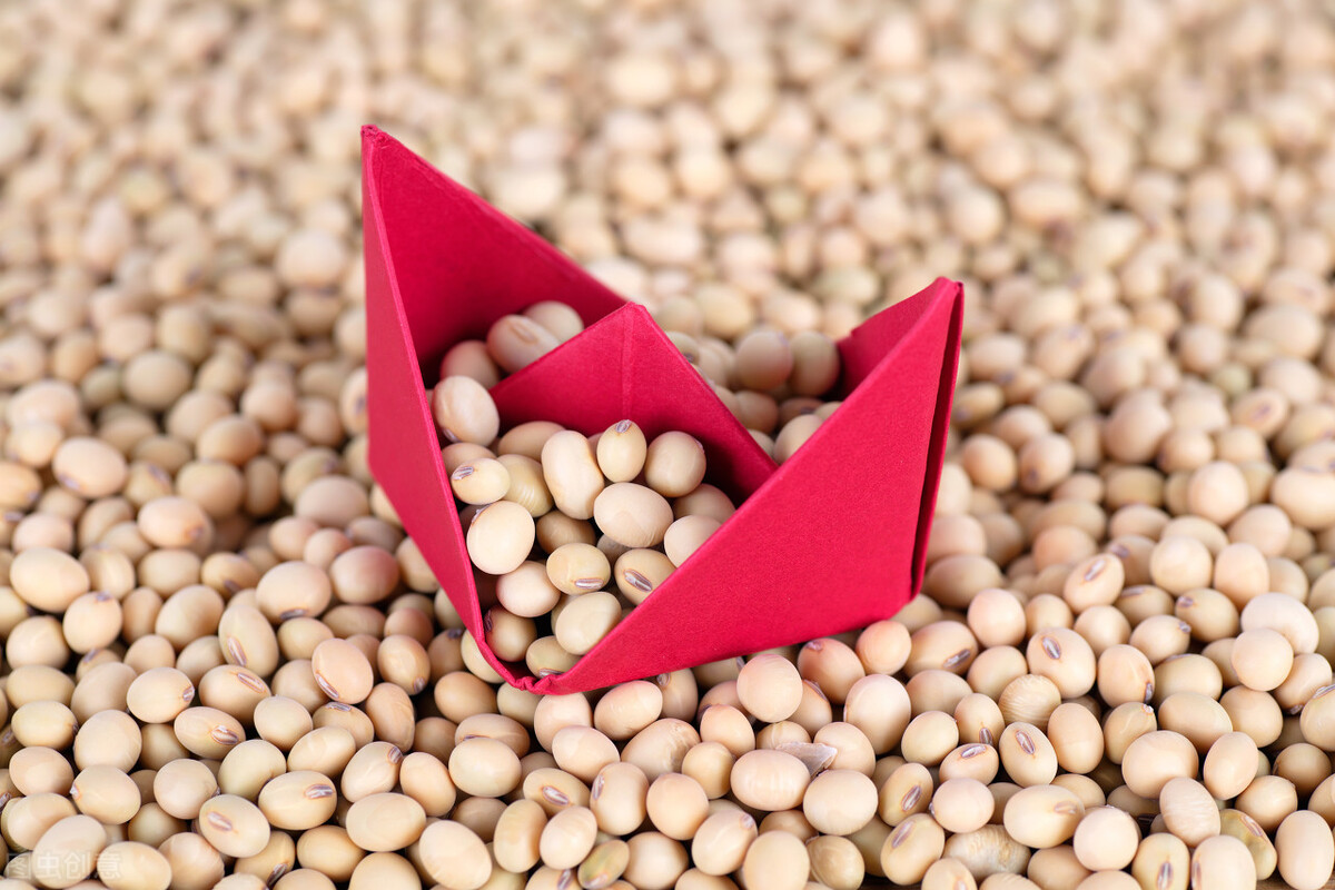 进口美豆海运费查询,美豆进口关税及运费多少