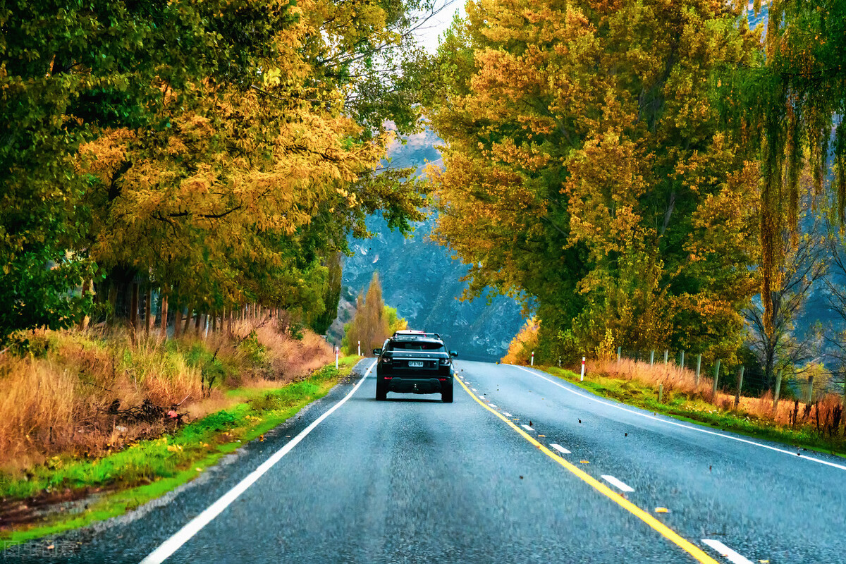 高考英语感谢信高级句型,感谢信英语模板高考