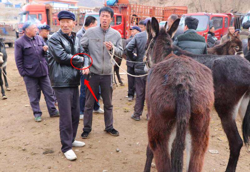 农村俗语，“车船店脚牙，无罪也该杀”，是一颗老鼠屎坏了一锅粥