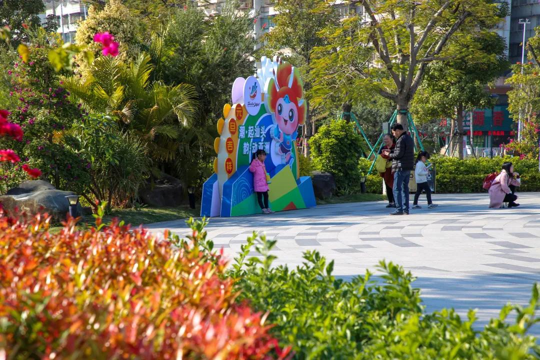 亚青会2021比赛项目,亚青会第二届是在哪