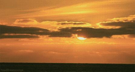 乌鸡黑肉,乌鸡黑枸杞黑蒜