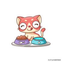 别大意，猫咪尿频尿急尿不尽，要了命