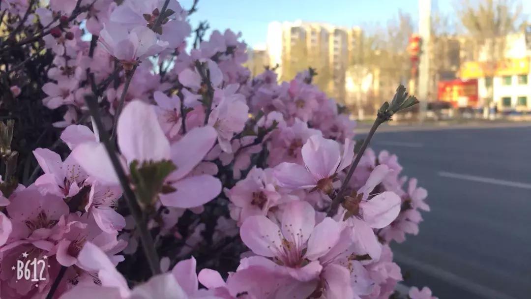 诗歌：我想和你有一场约会