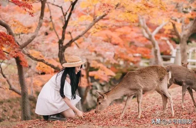 周杰伦说好一起去旅行,周杰伦说好不哭影响力