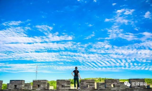 榆林牡丹园,榆林千年牡丹园