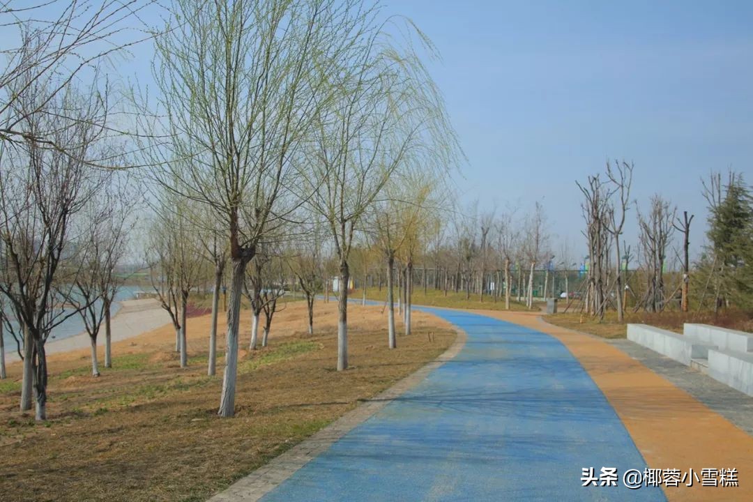 郑州适合晨跑的地方,郑州晨跑圣地