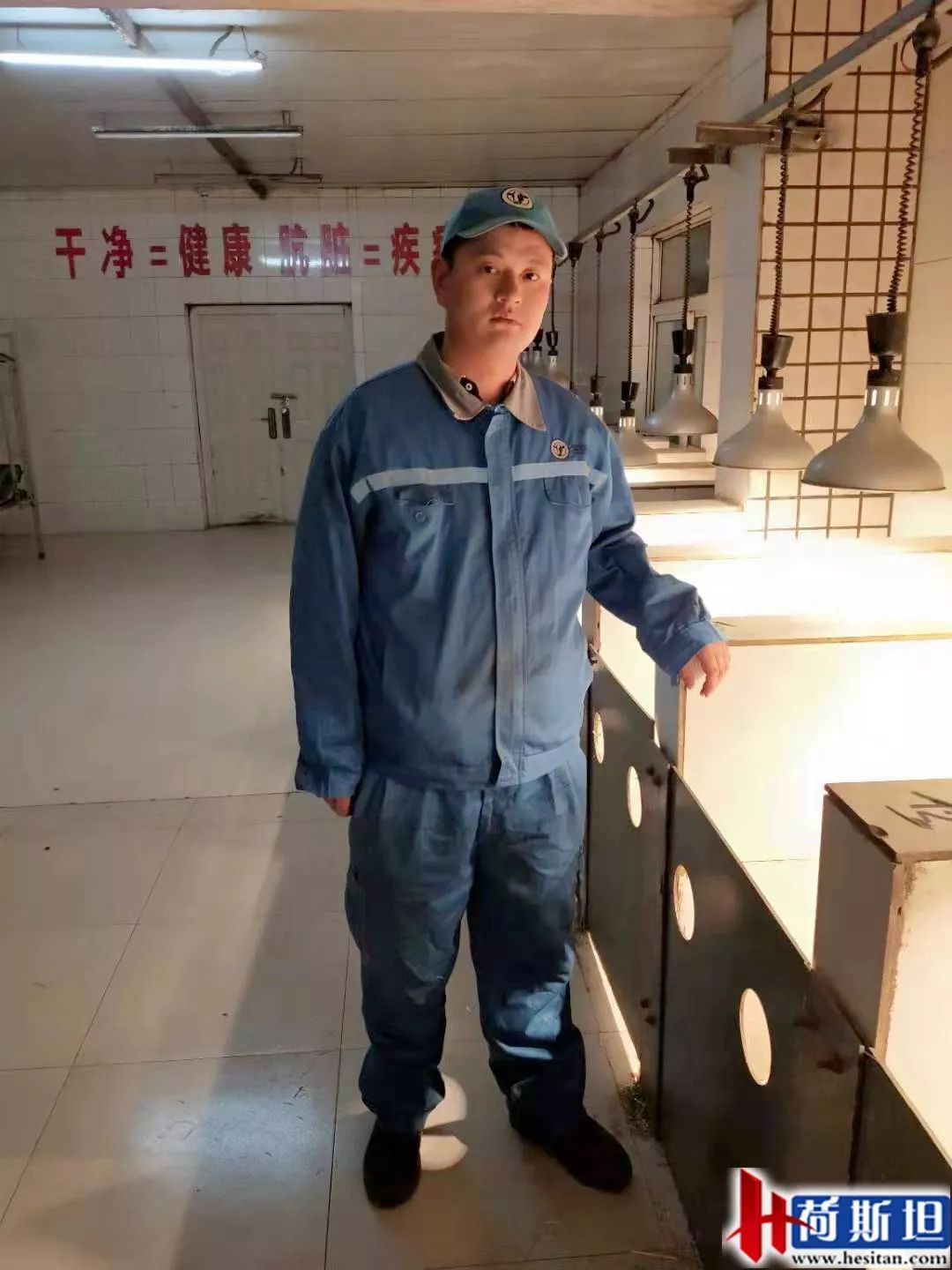 小奶牛出生全过程,牛宝宝是怎么出生的